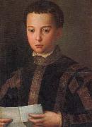 Agnolo Bronzino Portrait of Francesco I as a Young Man Sweden oil painting reproduction